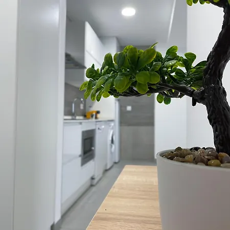 Apartamentos Lusitania Parking Gratis Bajo Disponibilidad Merida Exterior photo
