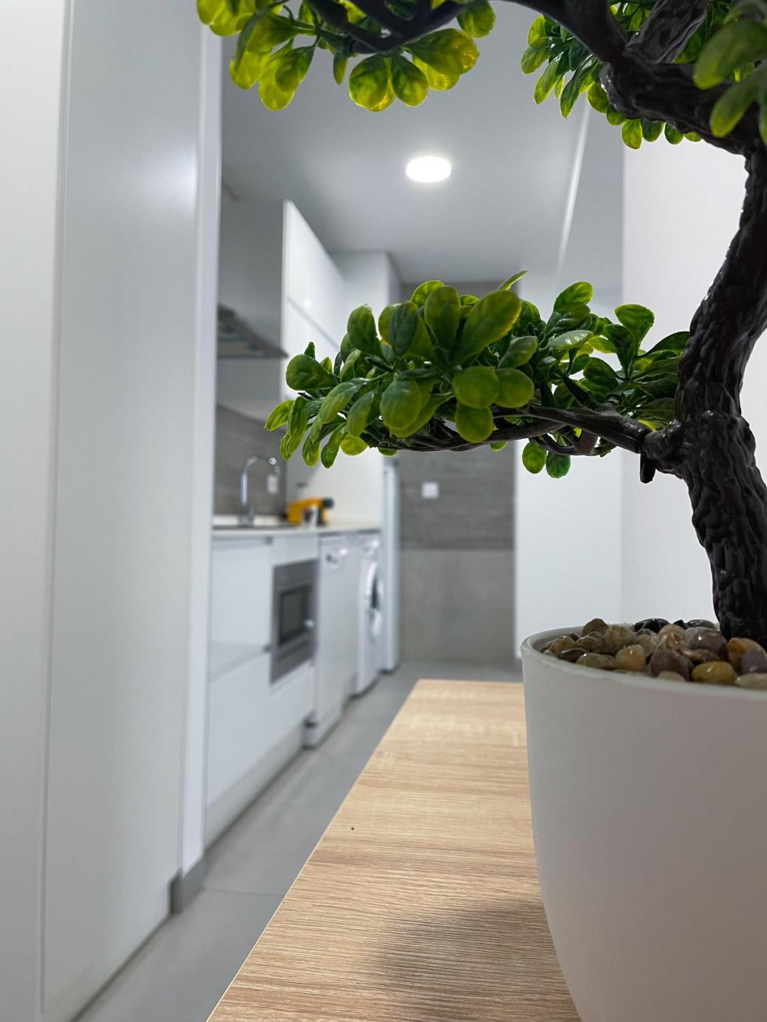 Lusitania Parking Gratis Bajo Disponibilidad Apartment *